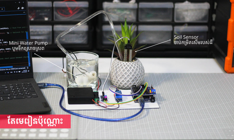 Lab 01: Automatic Watering System
